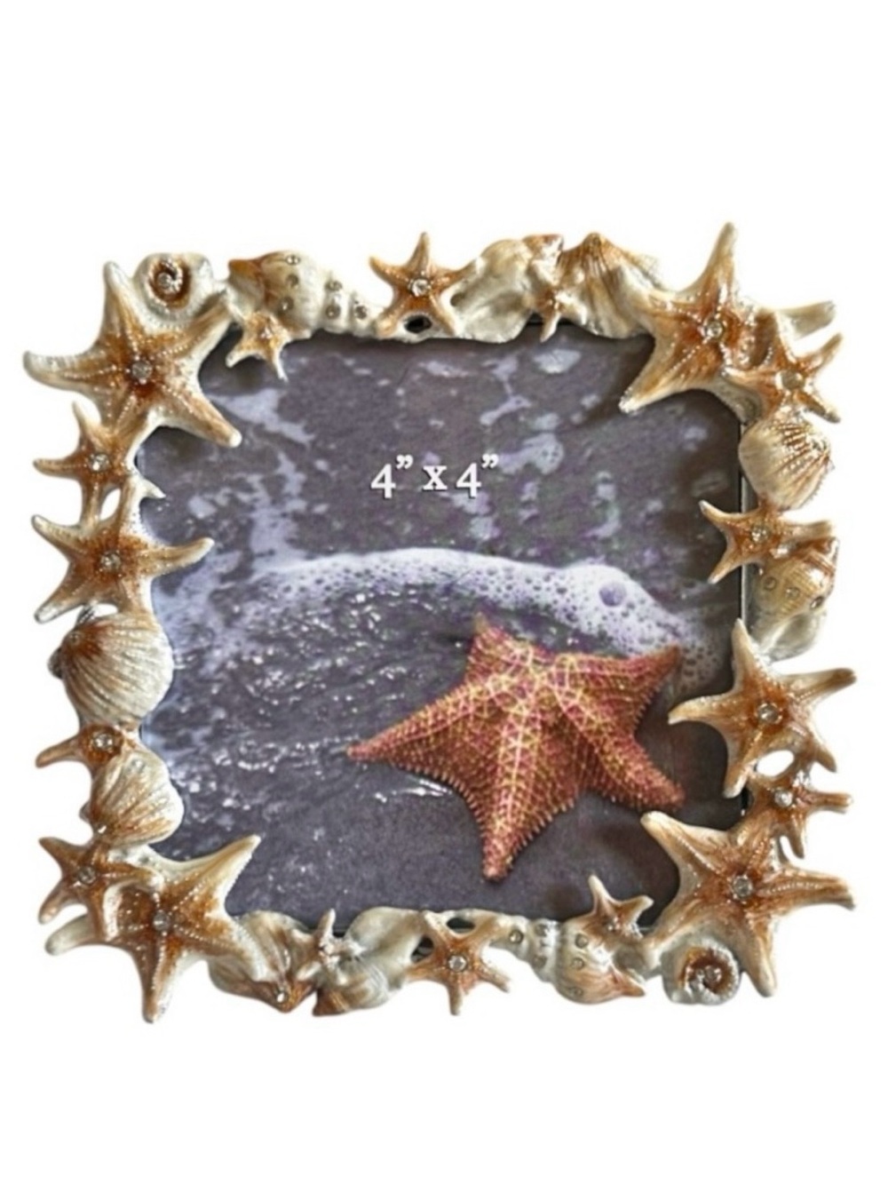 Tan and Ivory Seashell and Starfish Coastal Theme Photo Frame - Picture 5 of 5